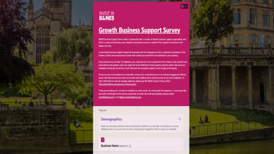 Help Shape B&NES Business Growth Support!