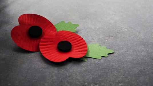 Support Remembrance Day and Remembrance Sunday events in Bath and North East Somerset